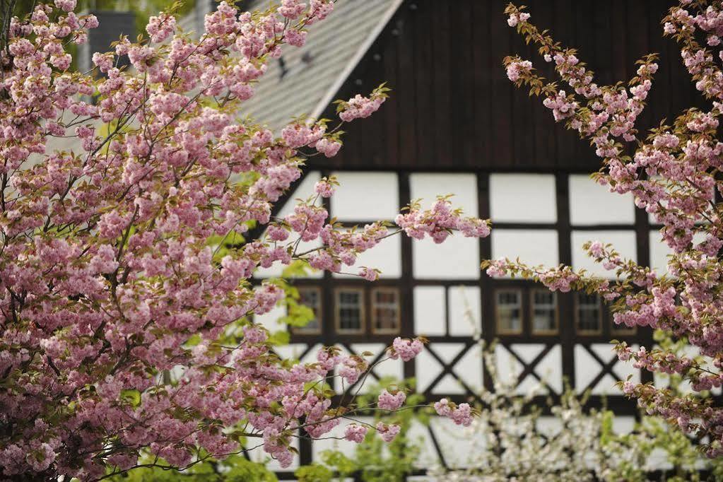 Hof Hueck Hotel Bad Sassendorf Exterior photo